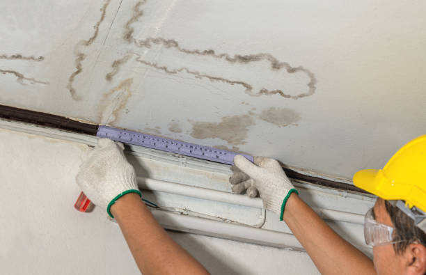 Affordable Water Damage Repair solutions in Helmetta, NJ